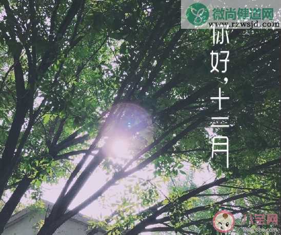 2020十二月早安温馨祝福合集 十二月你好正能量微信朋友圈