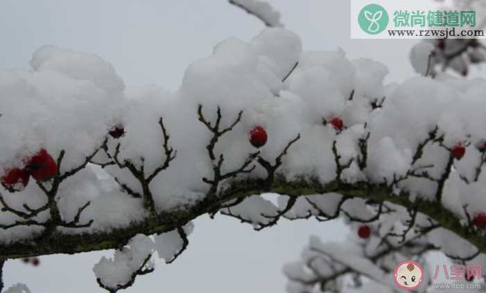 2020雪景的朋友圈心情说说 2020下雪了发朋友圈内心