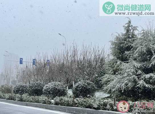 关于欣赏雪景心情说说 看见雪景的心情  一段话。