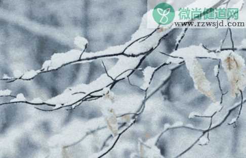 河南的雪是人工降雪吗 为什么要施行人工降雪