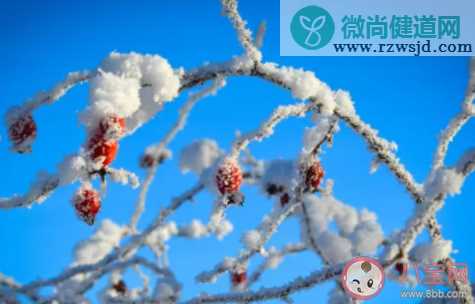 2021第一场雪说说心情短语 第一场雪的心情句子