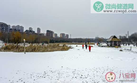 2021冬季第一场雪人生感悟感