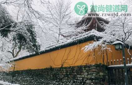 2021下雪天的幽默句子 关于下雪的搞笑说说