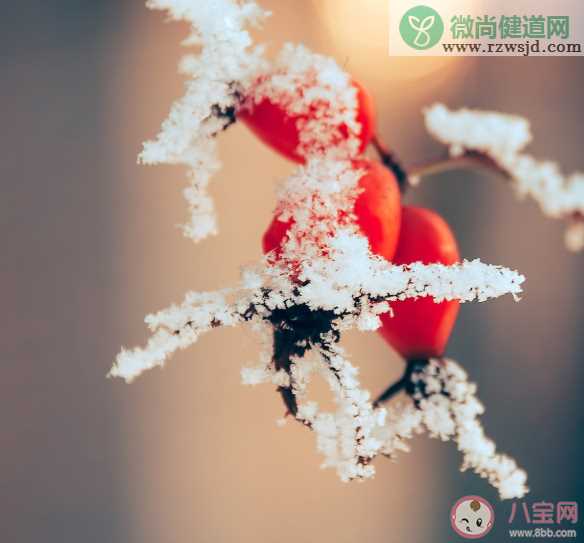 腊八节和大寒节气同一天祝福语怎么发 腊八节和大寒