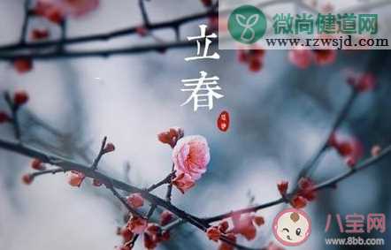 春雨惊春清谷天第一个春指什么节气 第二个春指什么节气