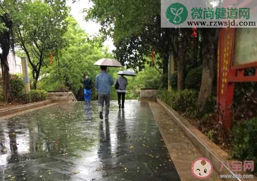 2021第一场春雨心情说说  第一场春雨发朋友圈唯美句子