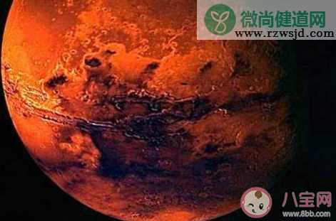 地球上哪些微生物可在火星暂时存活 火星上是否有生命存在