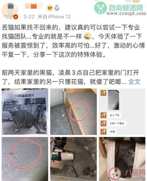 职业找宠人是什么意思 职业找宠人有什么条件要求