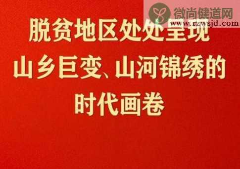 脱贫攻坚总结表彰大会金句大全 申论中可以加分的句子