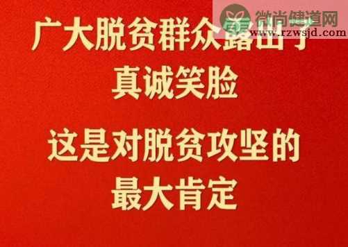 脱贫攻坚总结表彰大会金句大全 申论中可以加分的句子