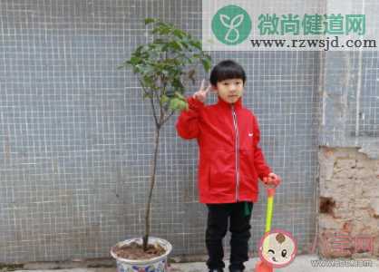 幼儿园植树节种树的活动报道