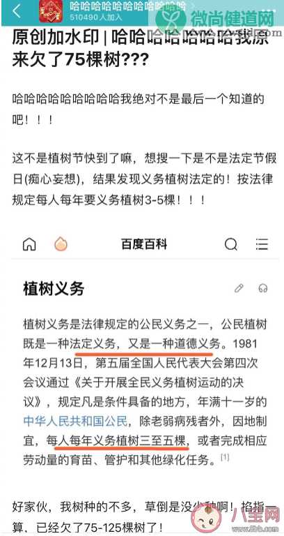 原来我欠了这么多树是什么意