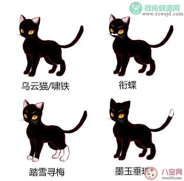 猫咪在古代的名字叫什么 古