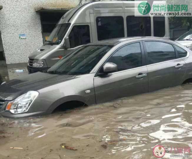 泡水车或流向二手市场 怎么