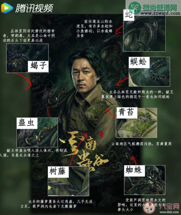 《云南虫谷》是鬼吹灯系列的哪一部 《云南虫谷》删减得多吗