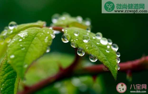 月亮眨眨眼睛我把你放在手心是什么歌 《小雨天气》完整版歌词在线听歌