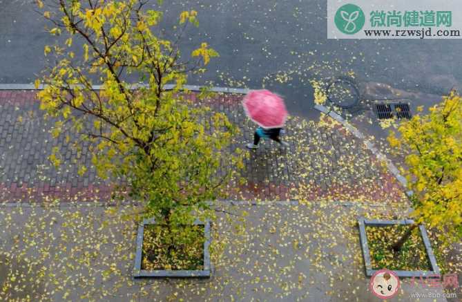 蚂蚁庄园一场秋雨一场寒有科学依据吗 小课堂10月27日答案