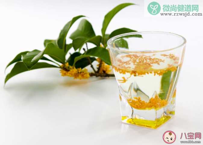 桂花茶喝了会不会失眠 喝桂花茶有什么功效作用