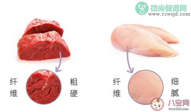 下列哪种肉类属于我们通常所说的白肉 蚂蚁庄园11月15日答案