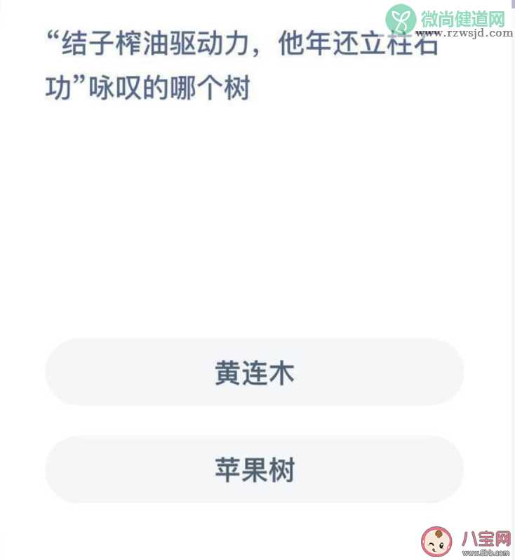 结子榨油驱动力他年还立柱石