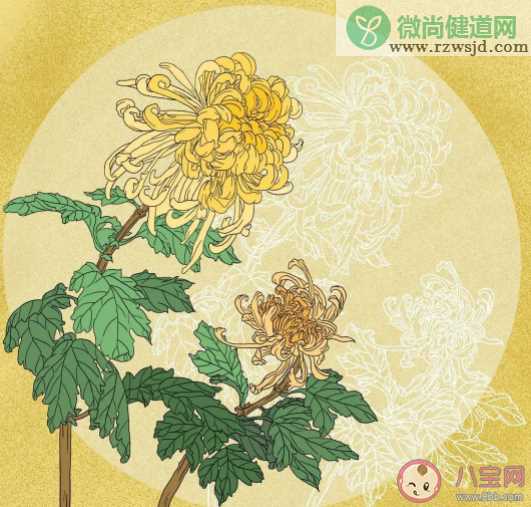 下列哪个植物不属于我国传统文化中的花中四君子 蚂蚁庄园1月21日答案