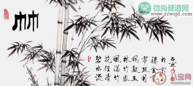 下列哪个植物不属于我国传统文化中的花中四君子 蚂蚁庄园1月21日答案