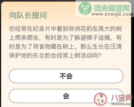 生长在汪清保护地的东北豹会经常上树活动吗 汪清保