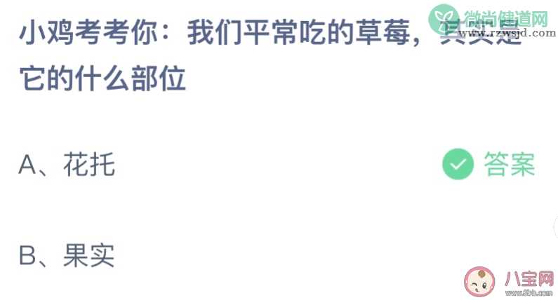 我们平常吃的草莓其实是它的什么部位 蚂蚁庄园3月10日答案最新