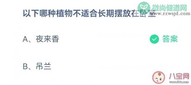 夜来香和吊兰哪种植物不适合长期放在卧室 蚂蚁庄园3月23日正确答案