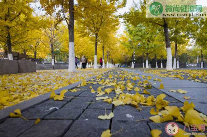 关于入秋天气变凉了的朋友圈句子说说 秋天天气转凉发朋友圈唯美说说