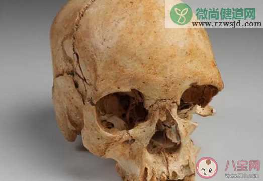 16000年前的人头骨化石在哪