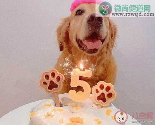 侄子生日发朋友圈说说大全 