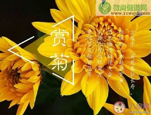 重阳节祝福老人的句子大全 九九重阳节适合发的温馨祝福语