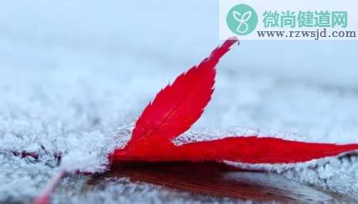 配雪景的唯美说说句子 下雪了的朋友圈文案