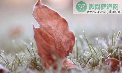 配雪景的唯美说说句子 下雪了的朋友圈文案