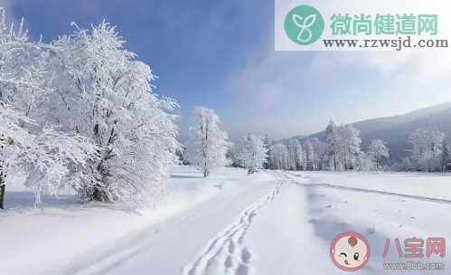 2020下雪了朋友圈文案 描绘雪景的经典句子