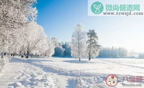 2020下雪了朋友圈文案 描绘雪景的经典句子