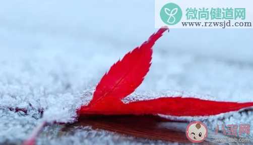 打雪仗堆雪人怎么发朋友圈 打雪仗堆雪人说说句子