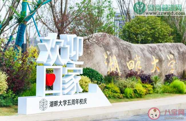 湖畔大学录取多少学生 湖畔大学录取条件是什么