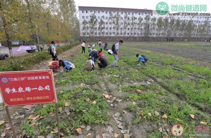 四川一高校开设种田必修课是什么情况 劳动教育的重要性