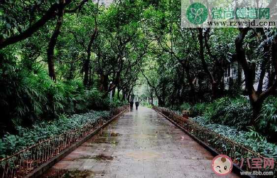 冬天的第一场雨的心情说说 冬天下雨好冷感慨句子