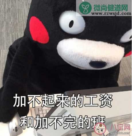 马上年底了关于我的感情做个总结什么梗 年底了对感情做个总结的心情说说