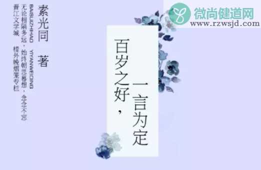 《百岁之好一言为定》原著小