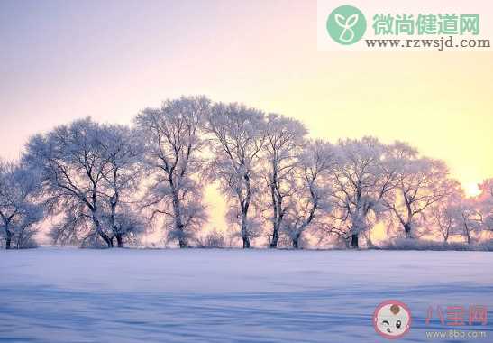 下列哪句诗是描写冬天雪景的 支付宝蚂蚁庄园12月31日问题答案