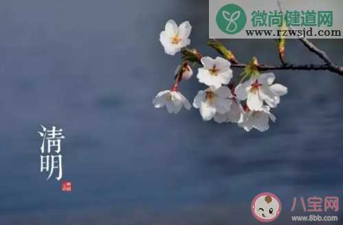 有一个“聪明节”指的是我国哪个传统节日 支付宝蚂蚁庄园1月5日问题答案