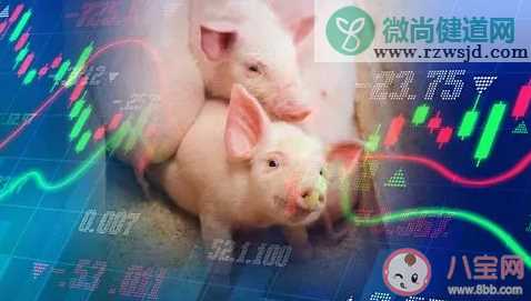 2021猪肉价格呈下降趋势吗  