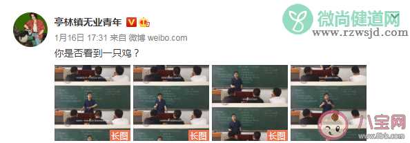 微博热搜你是否看到了一只鸡是什么梗 你是否看到了一只鸡是什么意思