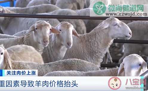 牛羊肉价格每公斤超74元是怎么回事 牛羊肉涨价原因是什么