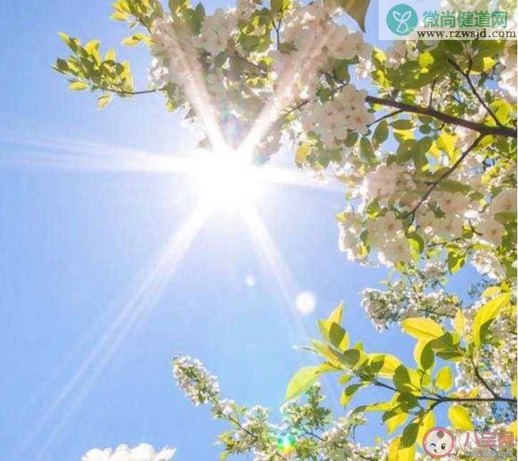 新冠病毒会在夏季消失吗 天气变暖能抑制病毒吗