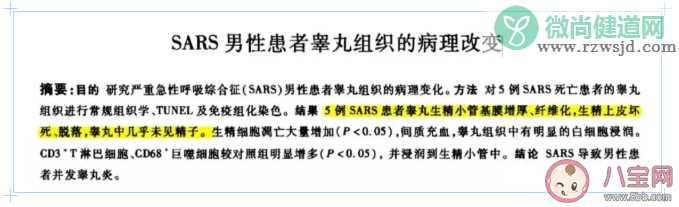 新冠病毒影响生育能力是真的吗 新冠病毒对男性生育能力影响有多大